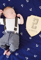 Teddy's Photo Project