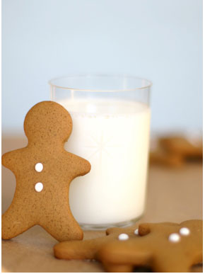 gingerbread-cookie-chirstmas