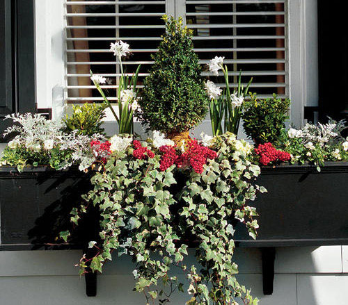 windowbox-x