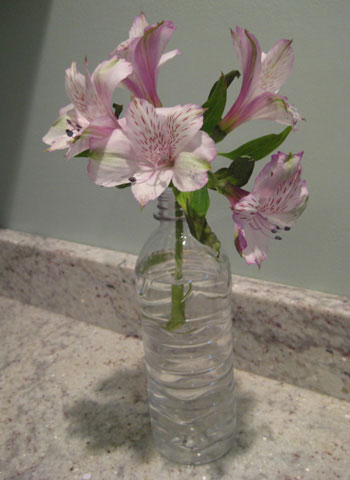 [Image: plastic-bottle-vase.jpg]