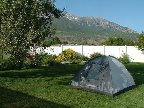 backyardcampingtennesonwoolf backyardcampingtennesonwoolf
