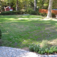 Backyard Update: Growing Some Green Grass