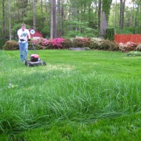 How To Grow Lush Grass By Overseeding