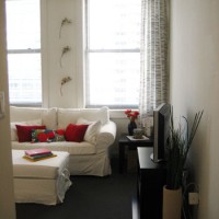 A Philly Apartment Makeover On A Budget