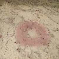 How To Remove A Stain From A Granite Counter