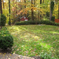 How We Scored Free Landscaping Help