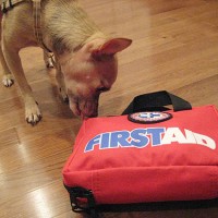 Fab Freebie: Furry First Aid
