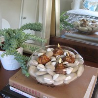 DIY Christmas Gift: Paperwhites & River Rocks