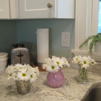 Bugdet Blooms: Daisies For Days