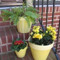 Painting Terra Cotta Pots