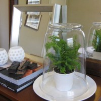 How To Make A Glass Terrarium