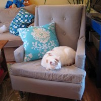 Upholstering A Secondhand Armchair & Spray Painting The Legs