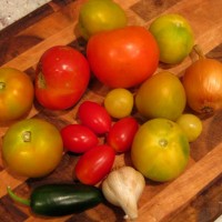 DIY Salsa Making Kit