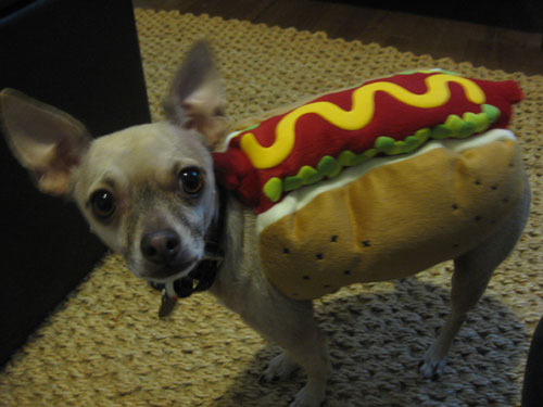 burger-hot-dog1