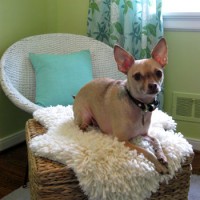 Making A Faux Sheepskin Rug (Part 1)