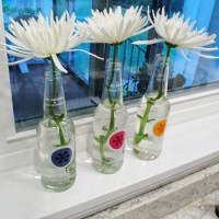 Turning Izze Soda Bottles Into Vases