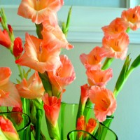 A Pink Flower Bouquet