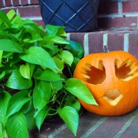 Making A Handprint Pumpkin With Baby For Halloween