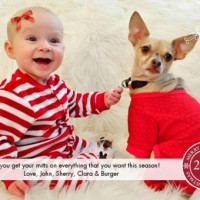 Dog And Baby Christmas Card Ideas