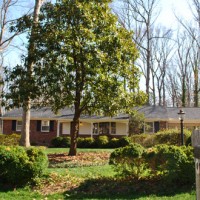 Limbing Up Trees So You Can See The House Again