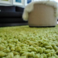 A Thick Green Shag Rug For The Living Room