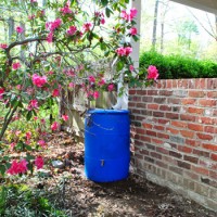 How To Add A Rain Barrel