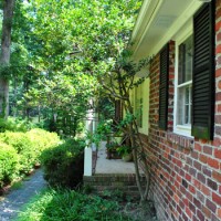 Removing Weeds From Our Paver Driveway