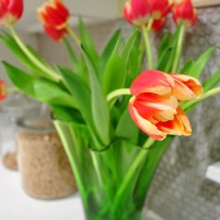 DIY Tulip Bouquet