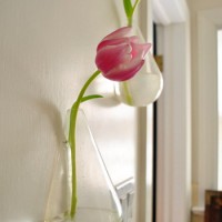 Floating Vases On The Wall