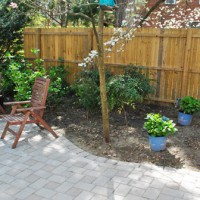 Planting Blue Hydrangeas