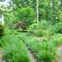 Outdoor Updates And A Landscaping Tour