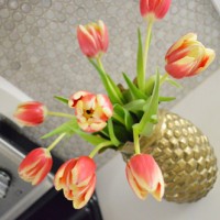 Budget Blooms: Tulips, Take Three