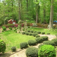 Backyard With Boxwood Lined Path And Pergola