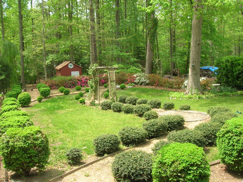 Backyard With Boxwood Lined Path And Pergola