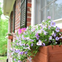 Spring Pinterest Challenge: Planting & Hanging Window Boxes