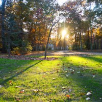 Landscaping In Fast Motion