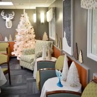 Holiday Decorations At Children's Hospital Richmond Virginia