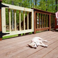 Wooden Gate Added To Deck To Keep Dog On Deck