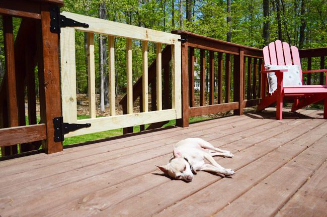 Wooden Gate Added To Deck To Keep Dog On Deck