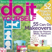 Do It Yourself Magazine