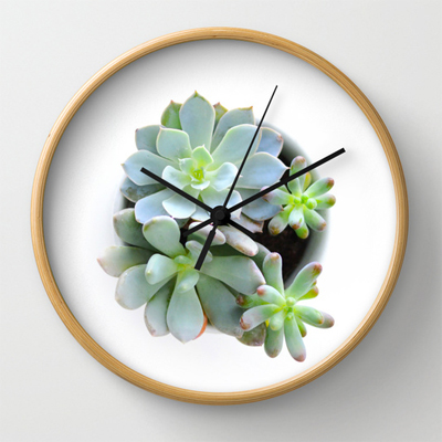 Succulent Clock