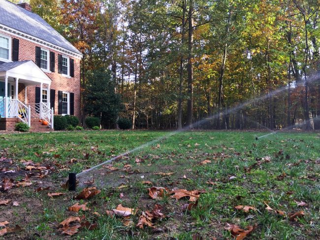 irrigation system installation regrowing grass in front yard sprinkler heads on