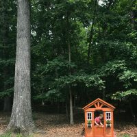 Adding A Little Wooden Playhouse