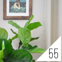 #55: What’s Feng Shui? And Are We Screwing It Up?