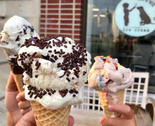 ice cream cones at brown dog ice cream in cape charles virginia