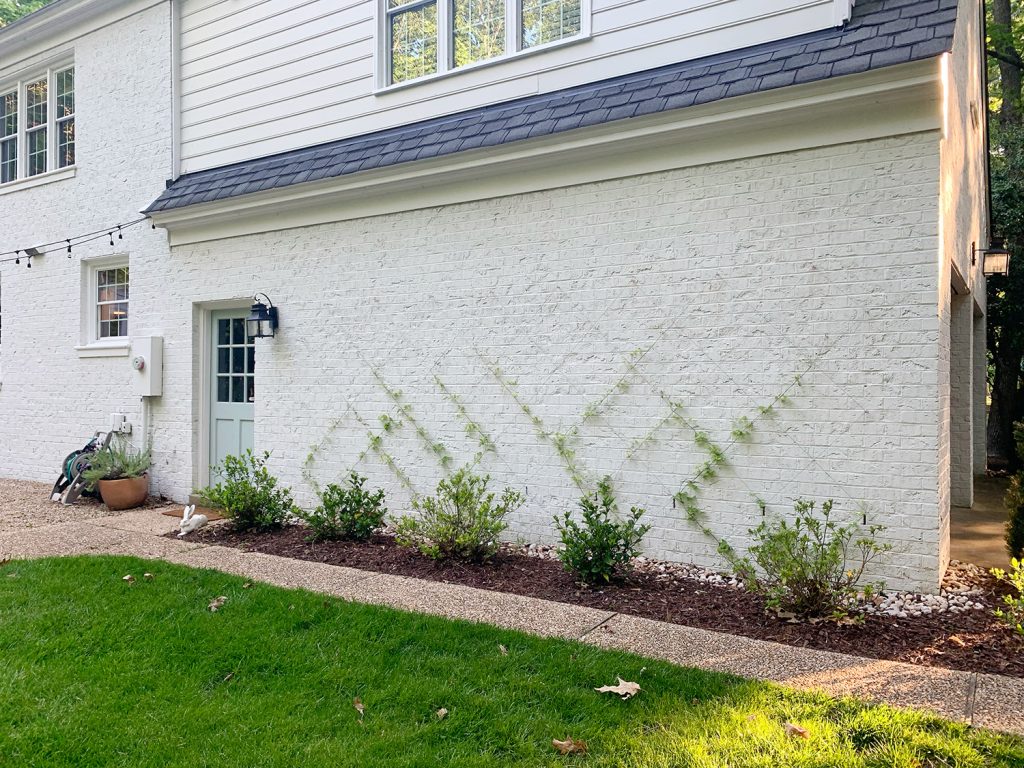 DIY wire vine trellis on white brick home