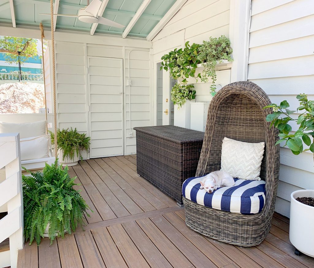 Full View Of Covered Porch With Plants Everywhere And Dog Sleeping In Egg Chair