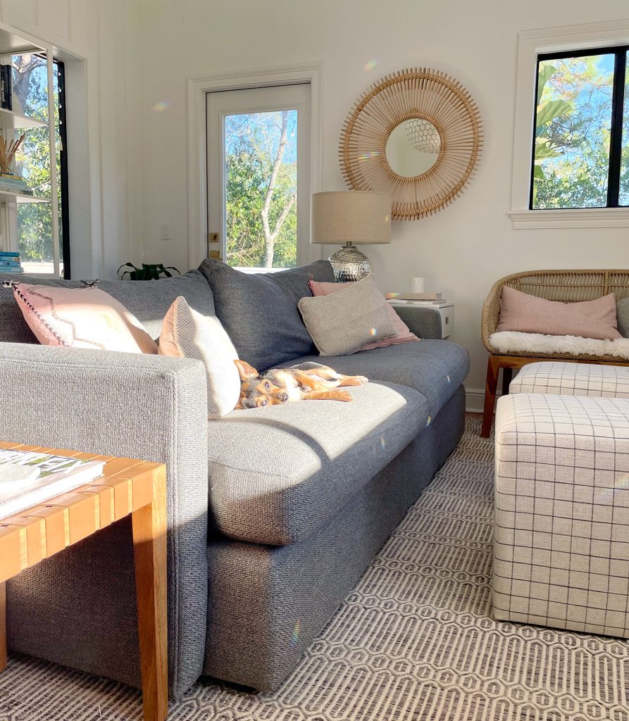 Family room with rainbow prism on wall with dog resting on couch