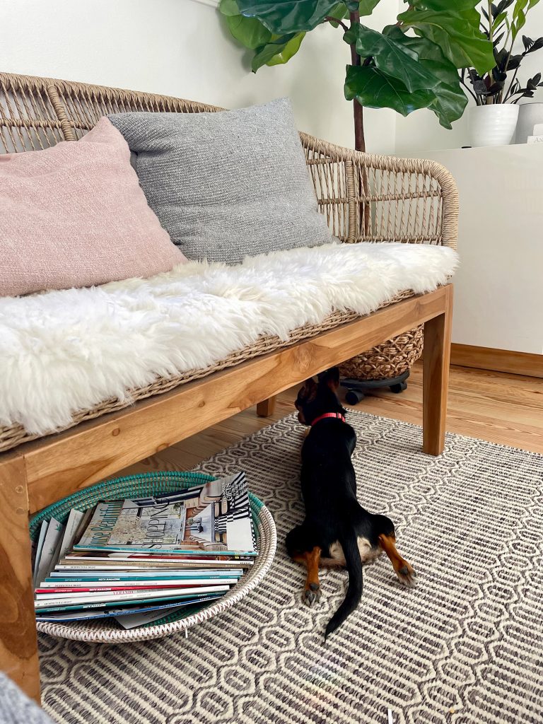 Penny the Chorkie laying with legs out under woven bench