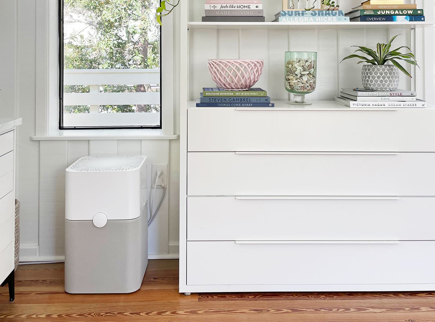 Our Favorite Allergy-Busting Home Air Purifier